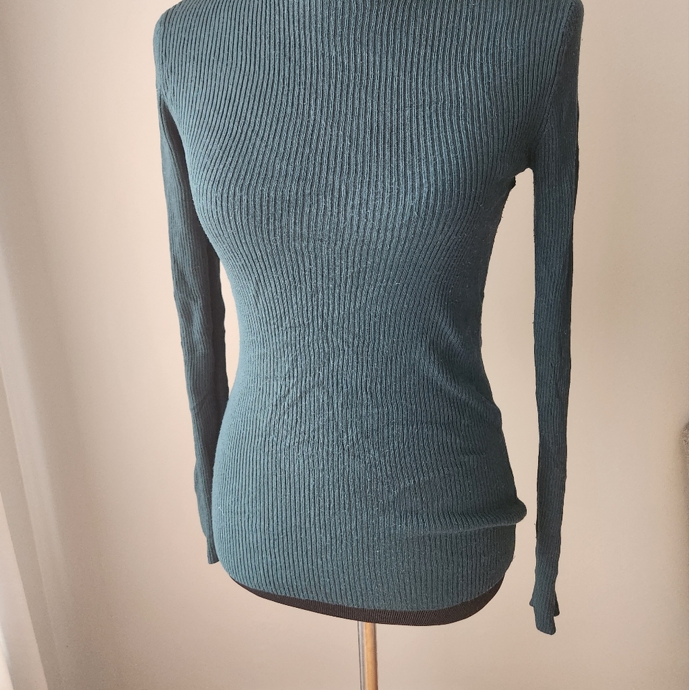 Express Turtleneck - Picture 2 of 6
